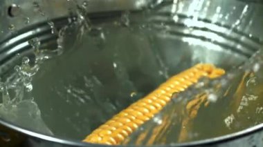 Mısır bir kova suya düşer. 1000 fps 'de yüksek hızlı bir kamerayla çekildi. Yüksek kaliteli FullHD görüntüler