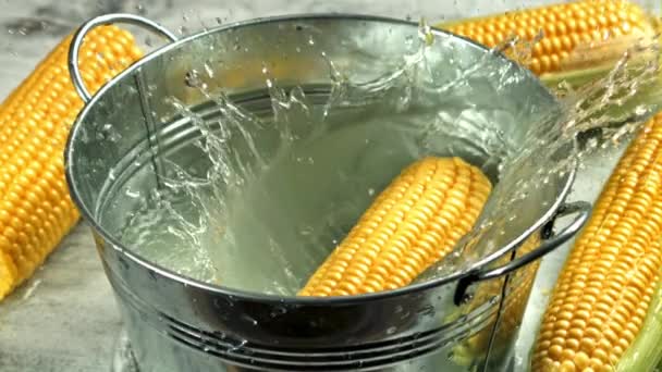 Kukurydza Wpada Wiadra Wody Nagranie Szybkiej Kamerze Prędkością 1000 Fps — Wideo stockowe