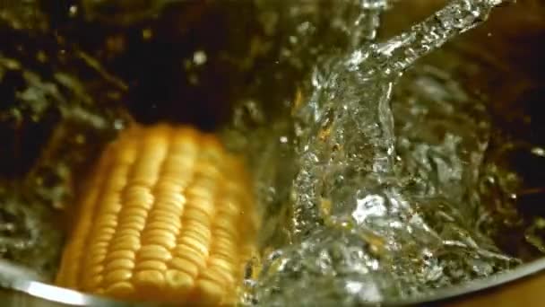Кукуруза Падает Кипящую Воду Кастрюлю Снято Высокоскоростную Камеру Скоростью 1000 — стоковое видео