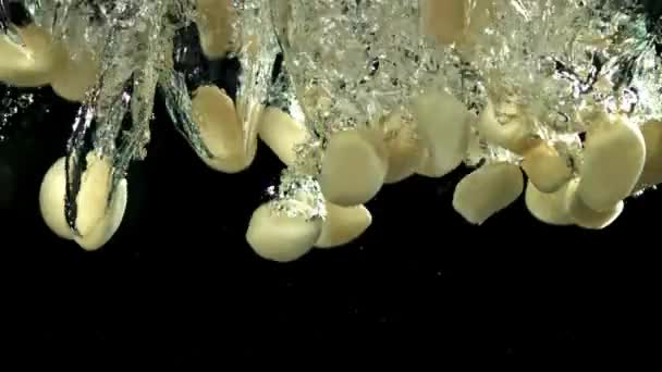 Geschilde Knoflook Valt Onder Water Gefilmd Een Hoge Snelheidscamera Met — Stockvideo