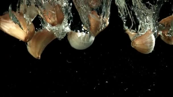 Ajo Fresco Cae Bajo Agua Filmado Una Cámara Alta Velocidad — Vídeos de Stock