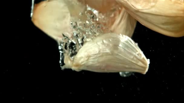 Świeży Czosnek Wpada Pod Wodę Nagranie Szybkiej Kamerze Prędkością 1000 — Wideo stockowe