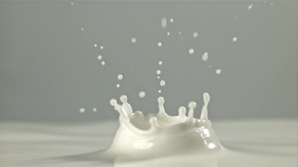 Kawałki Kropelki Mleka Nagranie Szybkiej Kamerze Prędkością 1000 Fps Wysokiej — Wideo stockowe