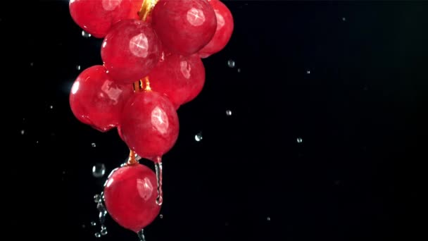 Regendruppels Vallen Rode Druiven Zwarte Achtergrond Gefilmd Een Hoge Snelheidscamera — Stockvideo