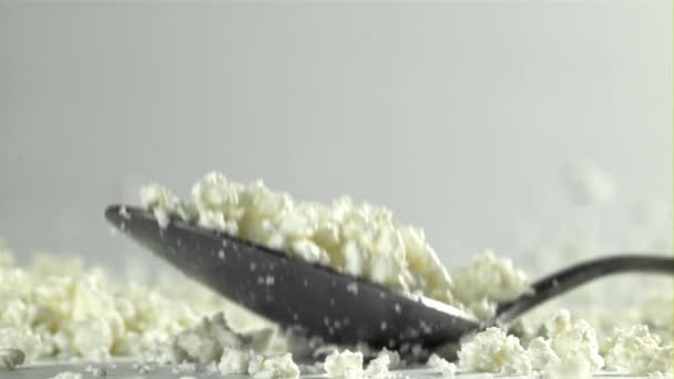 Spoonful Fresh Cottage Cheese Falls Table Filmed High Speed Camera — Stock Video