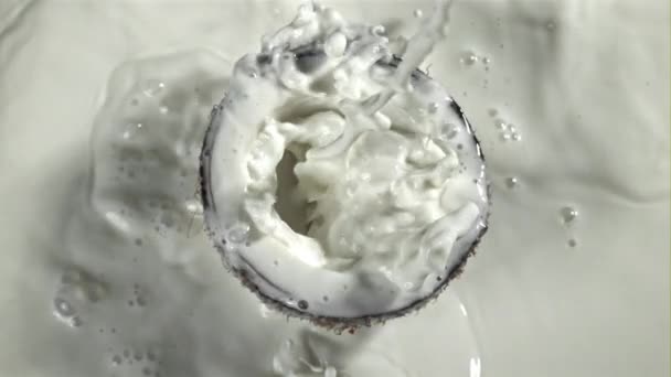 Milk Poured Half Coconut Filmed High Speed Camera 1000 Fps — Stock Video