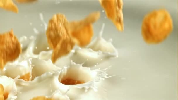 玉米片掉进牛奶里 在1000英尺每秒的高速相机上拍摄 优质Fullhd影片 — 图库视频影像