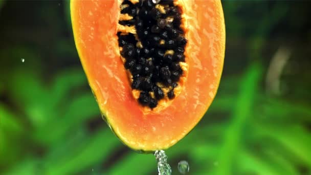 Verse Tropische Papaya Met Druppels Spatten Water Gefilmd Een Hoge — Stockvideo
