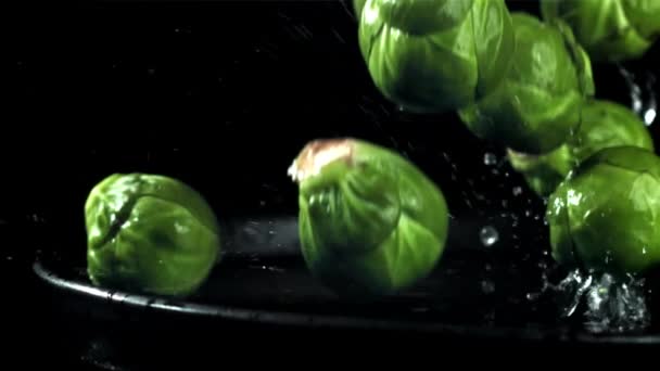 珠子芽落在湿盘上 在1000英尺每秒的高速相机上拍摄 优质Fullhd影片 — 图库视频影像
