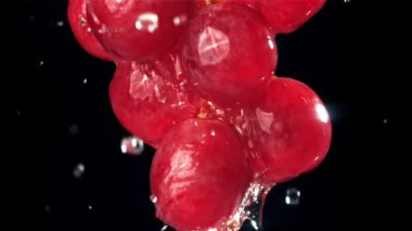 Siyah arka planda kırmızı üzümlere düşen yağmur damlaları. 1000 fps 'de yüksek hızlı bir kamerayla çekildi. Yüksek kaliteli FullHD görüntüler