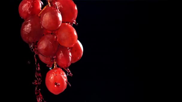Красное Вино Стекает Виноградной Ветви Снято Высокоскоростную Камеру Скоростью 1000 — стоковое видео