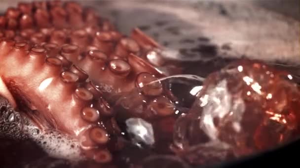 章鱼是用平底锅煮的 在1000英尺每秒的高速相机上拍摄 优质Fullhd影片 — 图库视频影像
