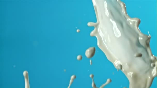 Mleko Rozpryskuje Się Niebieskim Tle Nagranie Szybkiej Kamerze Prędkością 1000 — Wideo stockowe