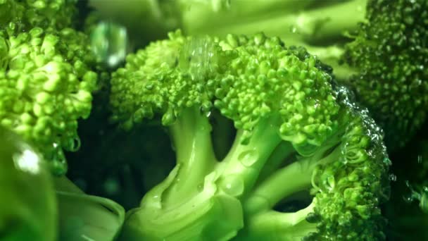 Vallen Druppels Water Broccoli Gefilmd Een Hoge Snelheidscamera Met 1000 — Stockvideo