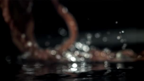 Een Verse Octopus Valt Tafel Een Zwarte Achtergrond Gefilmd Een — Stockvideo