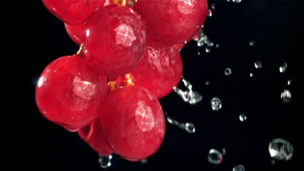 Gouttes Pluie Tombant Sur Des Raisins Rouges Sur Fond Noir — Video