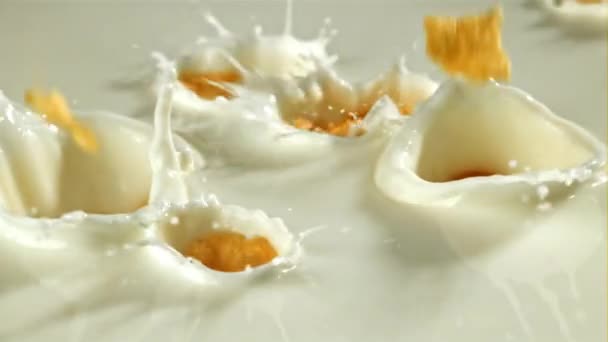 Кукурузные Хлопья Падают Молоко Снято Высокоскоростную Камеру Скоростью 1000 Кадров — стоковое видео