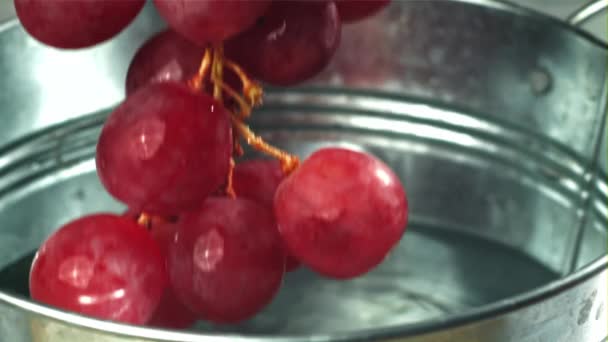 赤いブドウは水のバケツに落ちる 1000Fpsで高速カメラで撮影しました 高品質のフルHd映像 — ストック動画