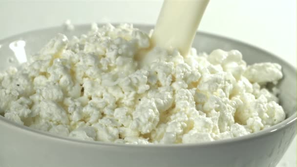 우유는 신선한 오두막 치즈에 부어집니다 1000 Fps의 카메라로 촬영했습니다 고품질 — 비디오