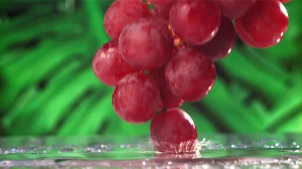 Uvas Vermelhas Caem Com Salpicos Uma Mesa Molhada Filmado Uma — Vídeo de Stock