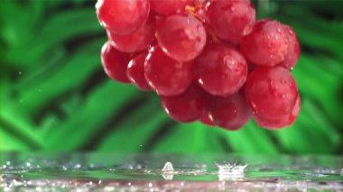 Kırmızı üzümler ıslak bir masaya düşer. 1000 fps 'de yüksek hızlı bir kamerayla çekildi. Yüksek kaliteli FullHD görüntüler
