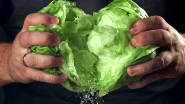 Szakács Szétszedi Friss Salátát Egy Nagy Sebességű Kamerával 1000 Fps — Stock videók