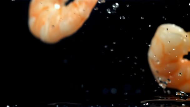 Krevety Padající Černé Pozadí Natočeno Vysokorychlostní Kameře Rychlostí 1000 Snímků — Stock video