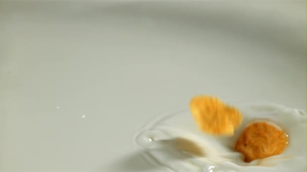 옥수수 조각은 우유에 떨어집니다 1000 Fps의 카메라로 촬영했습니다 고품질 Fullhd — 비디오