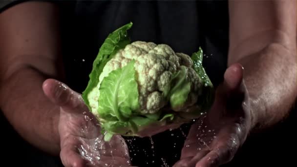 厨师在花椰菜上撒些水花 在1000英尺每秒的高速相机上拍摄 优质Fullhd影片 — 图库视频影像