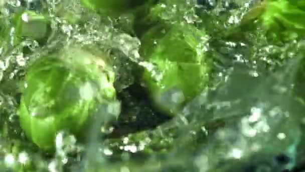 ブリュッセルが芽を出して水に落ちる 1000Fpsで高速カメラで撮影しました 高品質のフルHd映像 — ストック動画