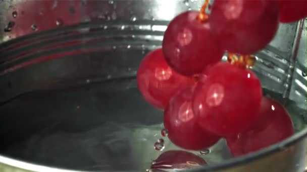 赤いブドウは水のバケツに落ちる 1000Fpsで高速カメラで撮影しました 高品質のフルHd映像 — ストック動画