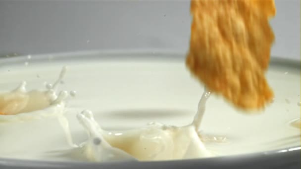 Кукурудзяні Пластівці Потрапляють Молоко Знімався Високошвидкісній Камері Швидкістю 1000 Кадрів — стокове відео