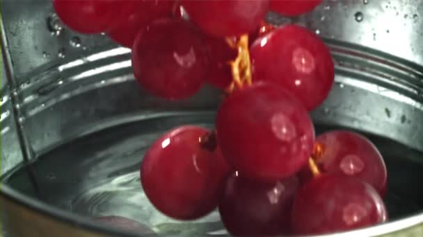 Anggur Merah Jatuh Dalam Ember Air Difilmkan Pada Kamera Berkecepatan — Stok Video