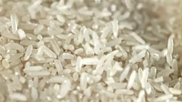Falling Rice Grains Filmed High Speed Camera 1000 Fps High — Stock Video