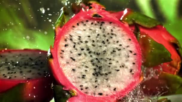 Wassertropfen Fallen Auf Eine Tropische Drachenfrucht Gefilmt Mit Einer Hochgeschwindigkeitskamera — Stockvideo