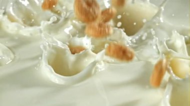 Mısır gevrekleri sütün içine düşer. 1000 fps 'de yüksek hızlı bir kamerayla çekildi. Yüksek kaliteli FullHD görüntüler