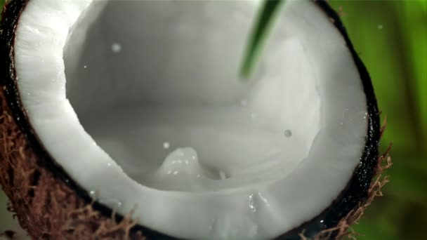 Γάλα Χύνεται Μισή Καρύδα Μια Βουτιά Τραβήχτηκε Κάμερα Υψηλής Ταχύτητας — Αρχείο Βίντεο