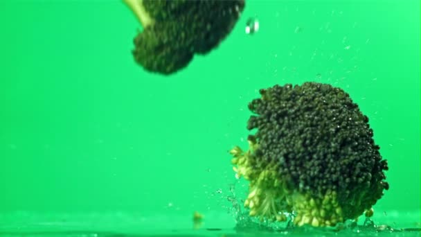 Släpper Broccoli Med Stänk Vatten Inspelning Höghastighetskamera 1000 Fps Högkvalitativ — Stockvideo