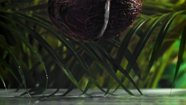 Die Kokosnuss Halbiert Sich Durch Spritzer Gefilmt Mit Einer Hochgeschwindigkeitskamera — Stockvideo