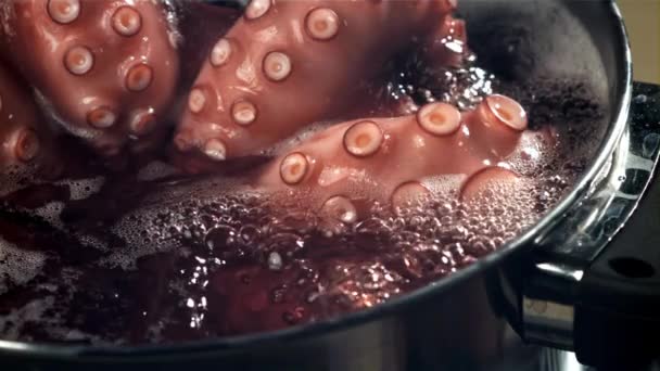 Octopus Ferve Uma Panela Filmado Uma Câmera Alta Velocidade 1000 — Vídeo de Stock