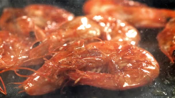 Les Crevettes Sont Frites Dans Une Casserole Avec Une Éclaboussure — Video