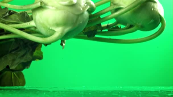 Кольрабі Падає Стіл Бризкою Води Знімався Високошвидкісній Камері Швидкістю 1000 — стокове відео