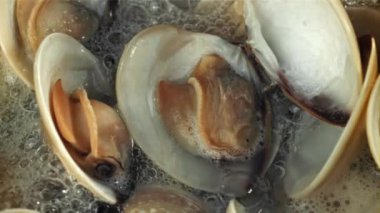 Taze vongole tavada kaynatılır. 1000 fps 'de yüksek hızlı bir kamerayla çekildi. Yüksek kaliteli FullHD görüntüler