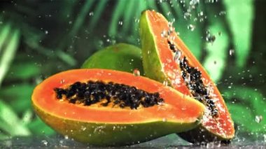 Damlaları ve su damlalarıyla taze tropikal papaya. 1000 fps 'de yüksek hızlı bir kamerayla çekildi. Yüksek kaliteli FullHD görüntüler