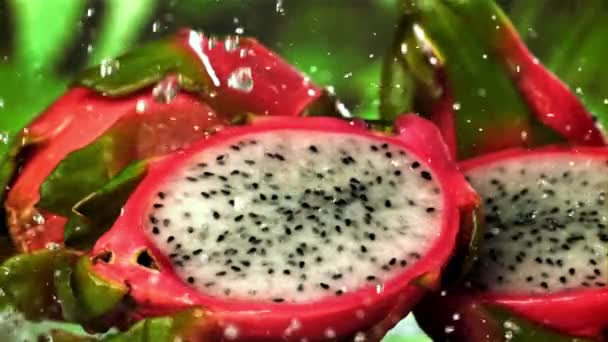 Droppar Vatten Faller Tropisk Drakfrukt Inspelning Höghastighetskamera 1000 Fps Högkvalitativ — Stockvideo