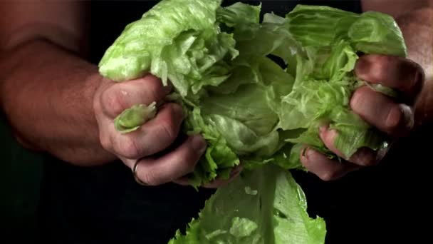 Szakács Szétszedi Friss Salátát Egy Nagy Sebességű Kamerával 1000 Fps — Stock videók