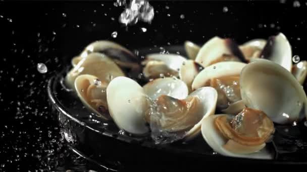 水滴は新鮮なボンゴールに落ちる 1000Fpsで高速カメラで撮影しました 高品質のフルHd映像 — ストック動画