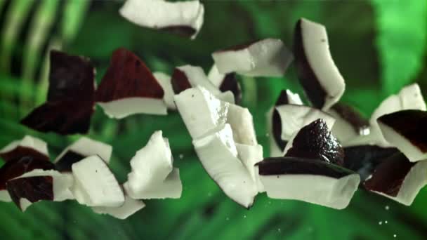 Pieces Coconut Fly Fall Filmed High Speed Camera 1000 Fps — Stock Video
