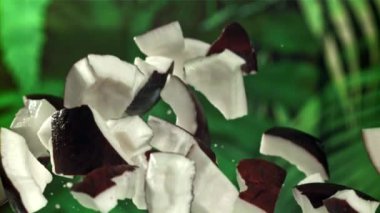 Hindistan cevizi parçaları uçar ve düşer. 1000 fps 'de yüksek hızlı bir kamerayla çekildi. Yüksek kaliteli FullHD görüntüler