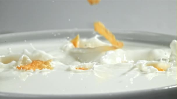 Płatki Kukurydzy Wpadają Mleka Nagranie Szybkiej Kamerze Prędkością 1000 Fps — Wideo stockowe